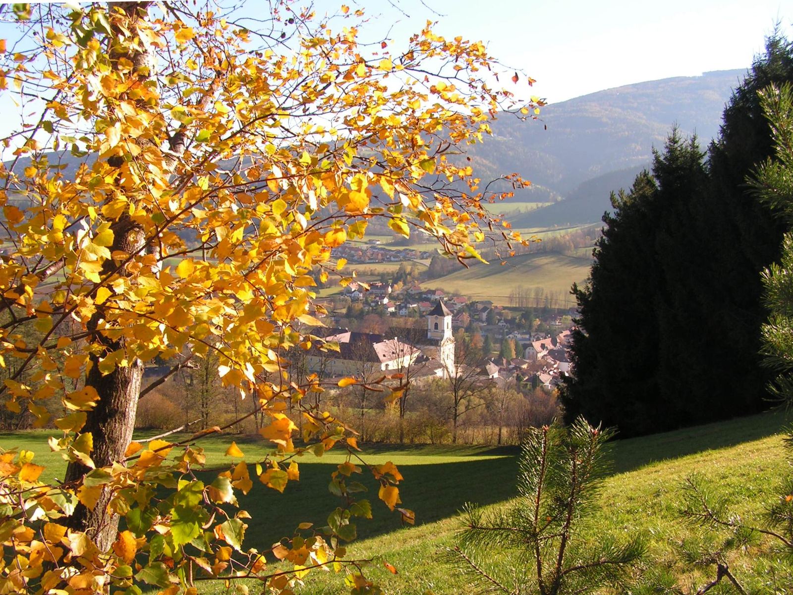 Herbstlicher Blick über gelbes Laub auf Kirchberg am Wechsel und das Tal