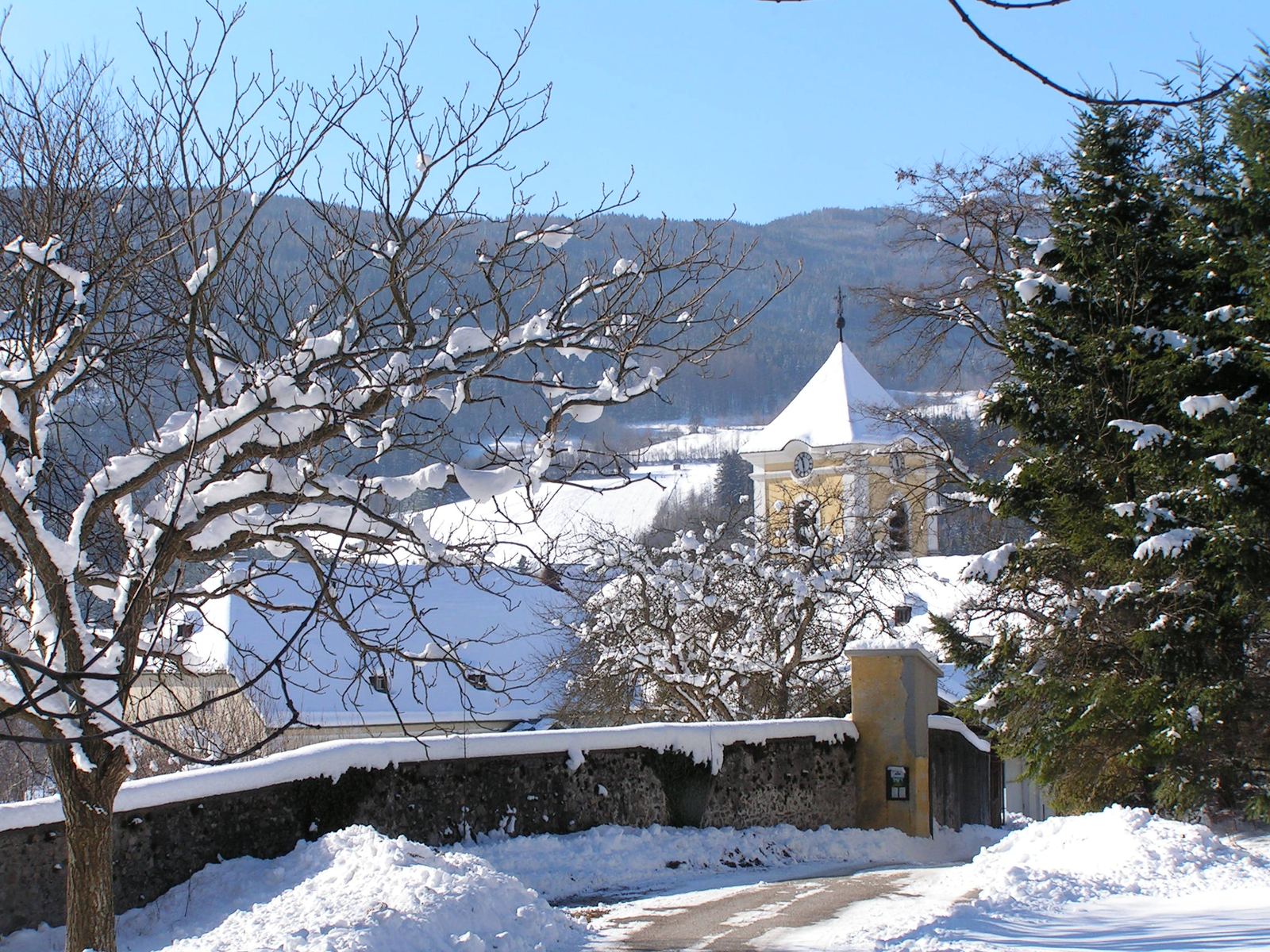 Verschneiter Kirchturm der Pfarrkirche hinter winterlichen Bäumen